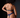 Star Gazer Bodysuit