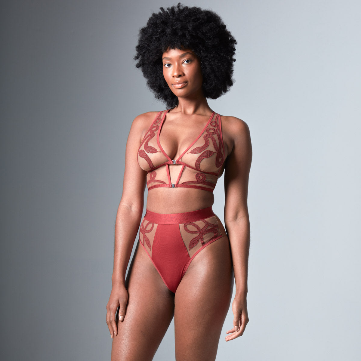 thistle and spire dracaena Medusa High Waisted Bikini - Oxblood