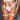 Strapped in Thigh Garters - Ivory